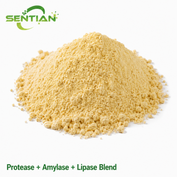 Protease Amylase Lipase Blend for Water Quality