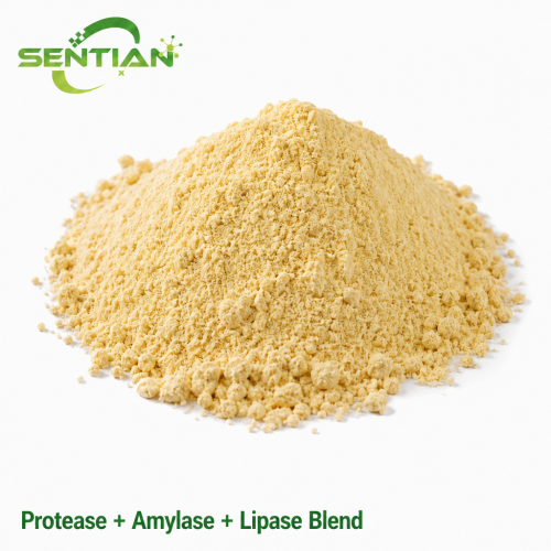 Protease Amylase Lipase Blend for Water Quality