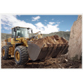 Loaders de roda de marca original de alta qualidade FL956H