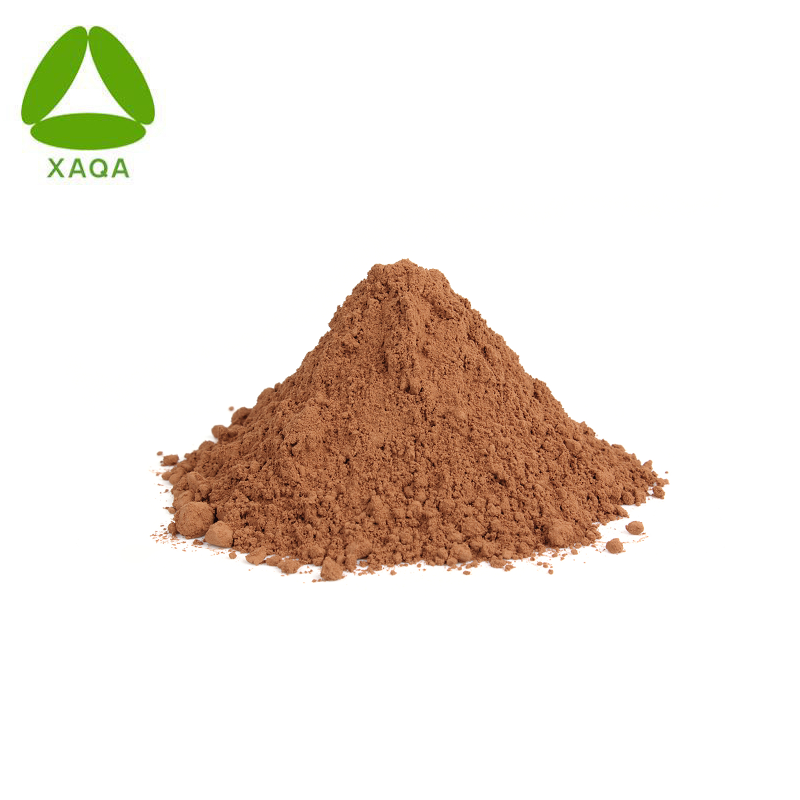 Female Healthcare Chasteberry Seed Extract Powder Vietxin 5%