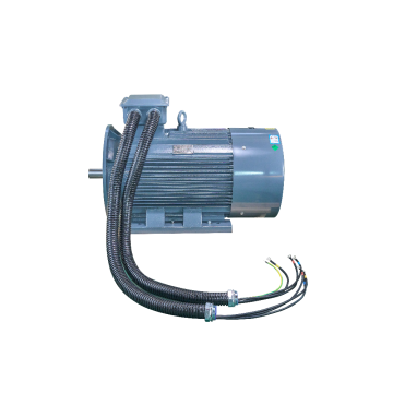 High Efficiency Compressor Motor