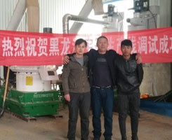 Hiệu suất tốt Biomass viên Mill máy