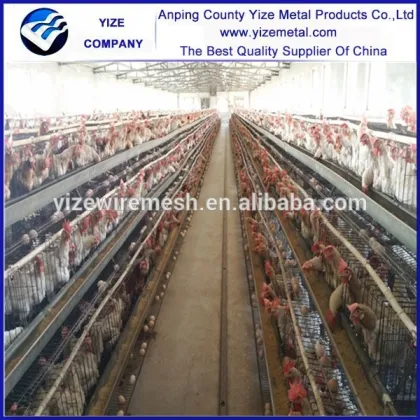 welded chicken cage wire mesh/chicken wire cage/wire mesh cage chicken layer for kenya farms