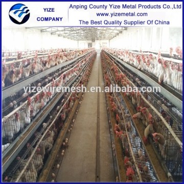 chicken wire cage mesh/chicken cage system/broiler chicken cage