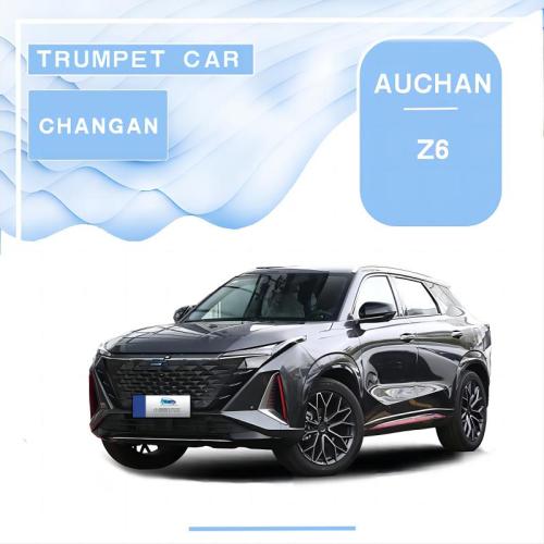 Changan Oushang Z6 스마트 여행판