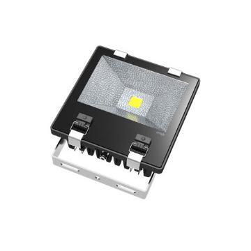 LED Floodlight 80W Bridgelux  Source IP65