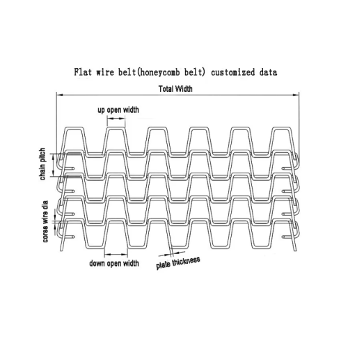 Food Grade Flat Drahtgürtel