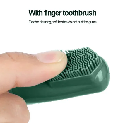 Pet Cleaning Toothbrush Toothpaste Set