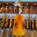 Professional violin/fiddle with tone wood 4/4