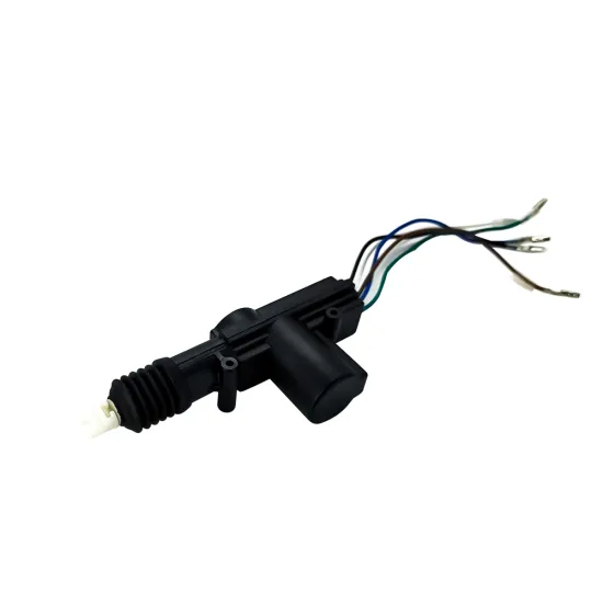 Universal 2wire 5wires Central Locking System for Car and Truck Door Actuators