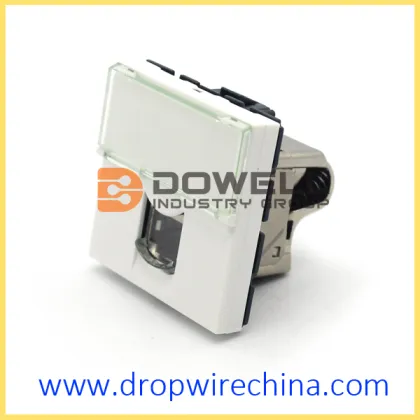 Legrand LCS2 Mosaic Socket Unshielded 1 Modular Breed