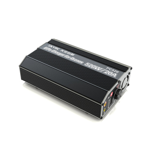 Chargeur de batterie au lithium 20A