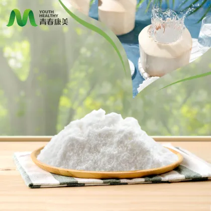 Premium Coconut Water Powder for Instant Hydration