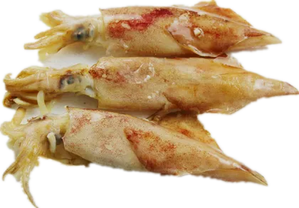 Whole Round Sea Frozen Loligo Squid