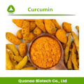 Extrait de curcuma nano curcumine 20% poudre soluble dans l'eau