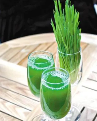 Green Malt Seedling Grass Juice Powder
