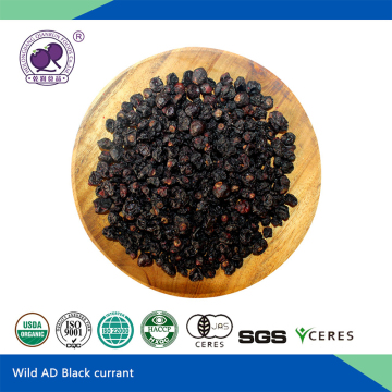 Air Dried Black Currant - Dehydrated Fruits