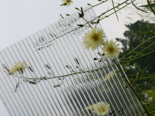 High Light Transmittance PC Hollow Sheet for Flower Glass House