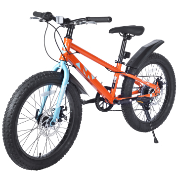 ZUKKA 20 Inch Mountain Bike with Fat Tires - Orange MTB for Juniors