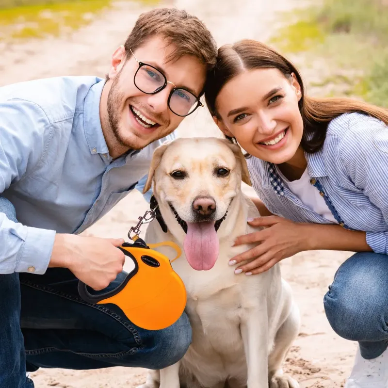 Heavy Duty Retractable Dog Leash for Medium to Large Dogs