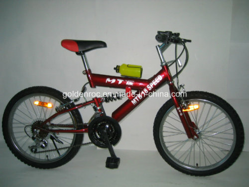 20" Steel Frame Mountain Bike (2008)