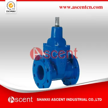 Cast Iron Non-rising Stem Resilient Soft Seated Gate Valves BS5163