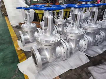 6" 300LB WCB Gate Valve