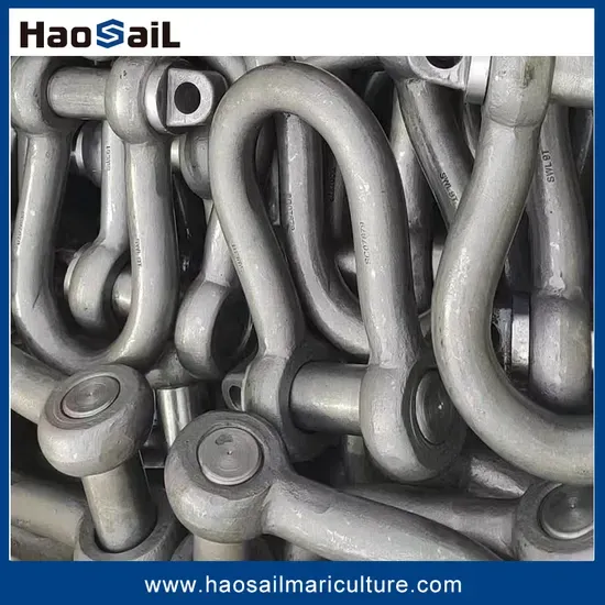 Corrosion-Resistant High-Fatigue LTM D-Type Mooring Shackle for Marine Hardware Connection
