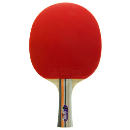 2 star Sanwei Table Tennis Racket/ Table Tennis paddle 298