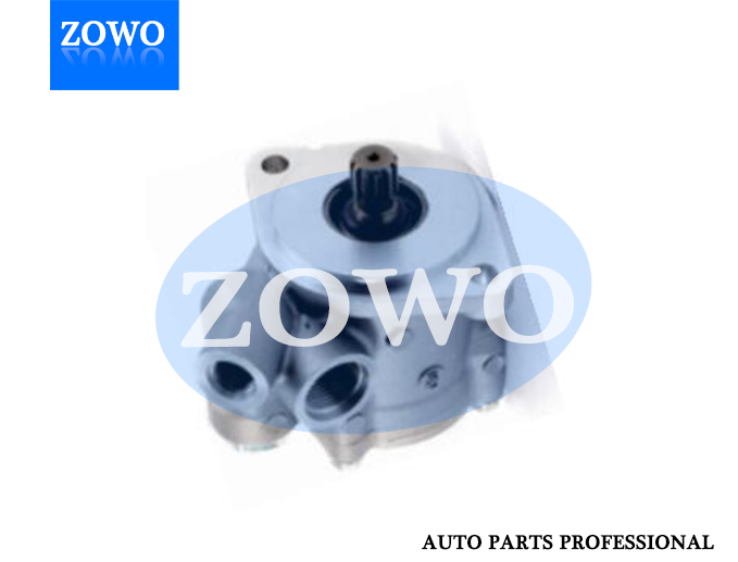 Ev 221615r101 Power Steering Pump