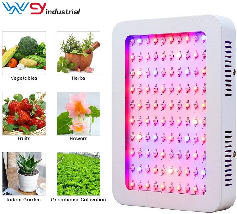 600 Watt Grow Light (DS)