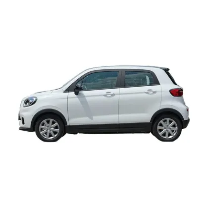 2023 Hot Sale Leap Motor T03: The Leapmotor Mini Electric Car for Adults