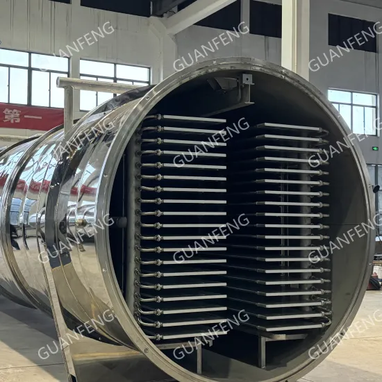 Energy-Saving Lyophilization Freeze Dryer Machine for Pet Food Processing