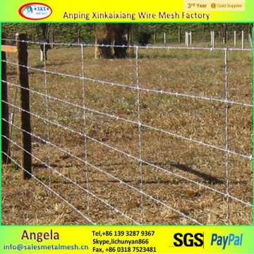 Barbed Wire Fence
