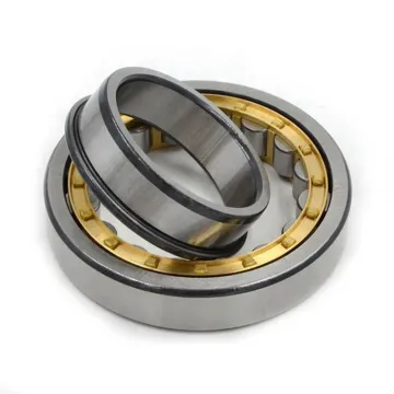 High Speed F-583943 Motorcycle Drivetrain & Transmission Cylindrical Roller Bearing