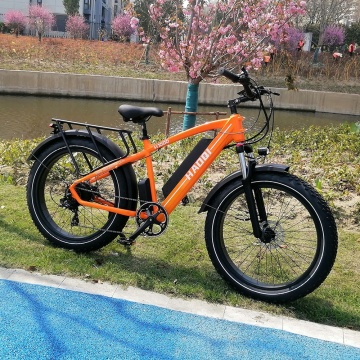 26*4.0 Inch Fat Tire Cargo Fat Bike: 7 Speed, 48V 750W Lithium Battery Electric Mountain Bicycle Road Bike