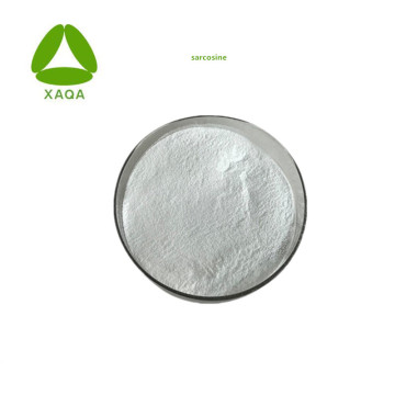 Sports Supplements Immunity Nutrition Sarcosine Powder