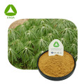 Rabbit Umbrella Extract Powder Chinese Herbal