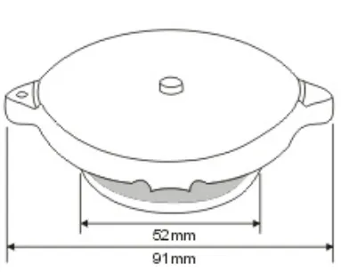 Radiators Caps - Advance Auto Parts