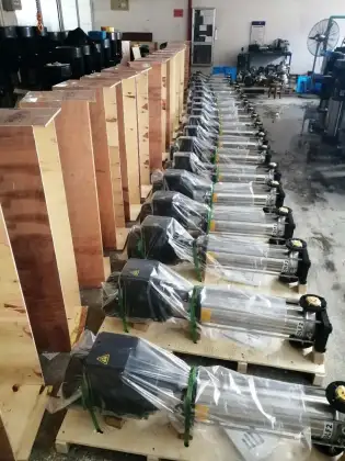 CDLF Wholesale High Quality Vertical SS304 Multistage Centrifugal Water Pump SHIMGE CNP 22 KW