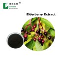 pure natural elderberry extract powder with bulk supplement