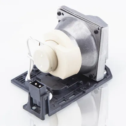 BL-FP230D Bulb Lamp with Housing for OPTOMA EX612