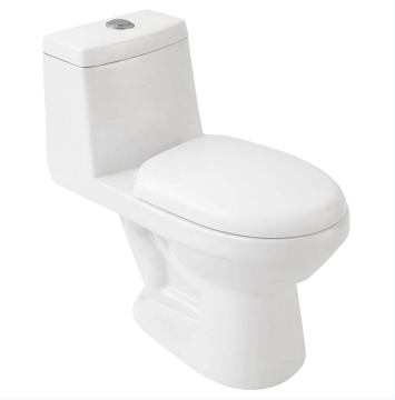 Salle de bain WC WC monobloc Siphonic WC