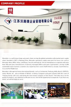 OEM Red Antifreeze Coolant Glysantin G40 Ethylene Glycol