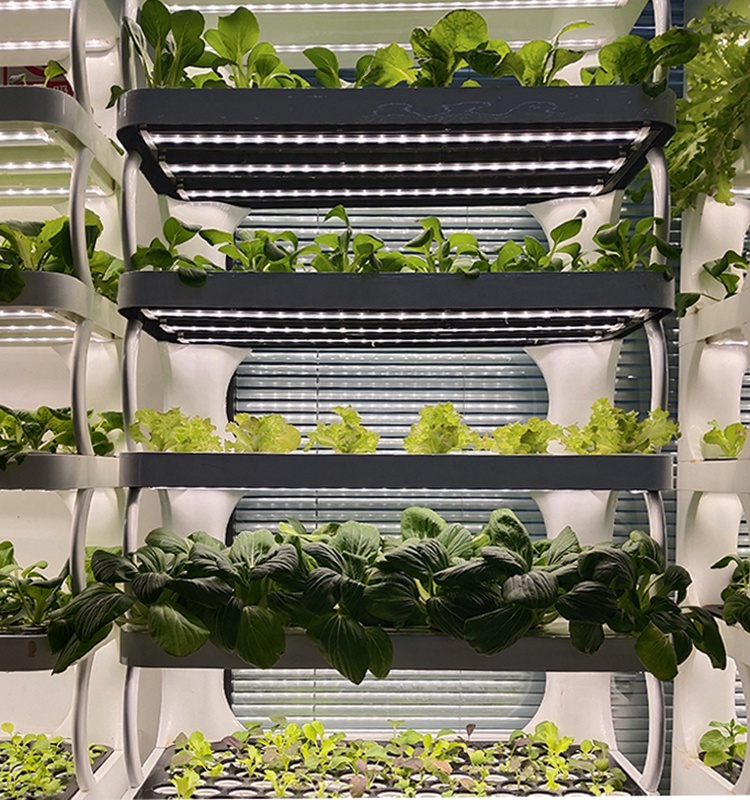 Skyplant Hydroponics System Vertical growing system for home