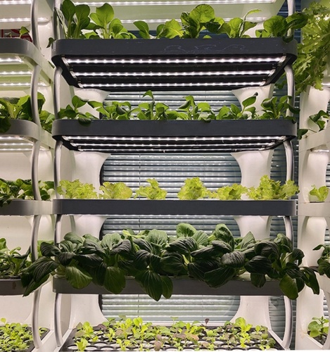 Spectrum Smart Vertical Indoor Hydroponic System