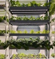 Skyplant Hydroponics System Sistema vertical de crescimento para casa