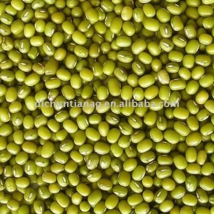 green mung bean