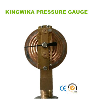 Brass Single Bellows Capsule Pressure Gauge Systems
