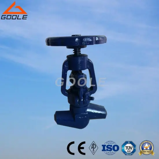 Pressure Seal Power Station Globe Valve (GAJ61Y)